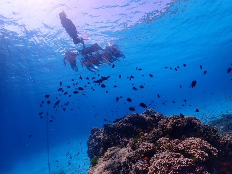Similan_Island from phuket 7