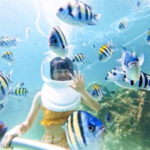 DCIM100GOPROGOPR0090.JPG