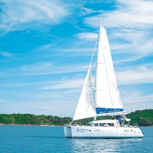 Lagoon400-1 (1)