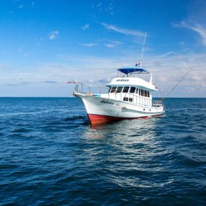 phuket-day-trips-deep-sea-game-fishing_02