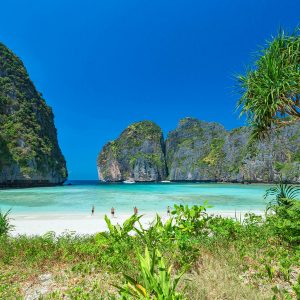 PhiPhi_Bamboo_Aboveandbeeyond